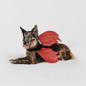 Halloween Reversible Red Devil or Angel Wings Dog and Cat Costume - Hyde and EEK